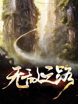 无敌之路小说阅读