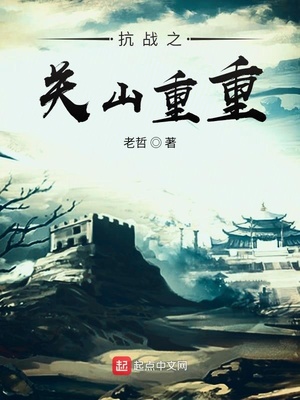 抗战之关山重重小说阅读
