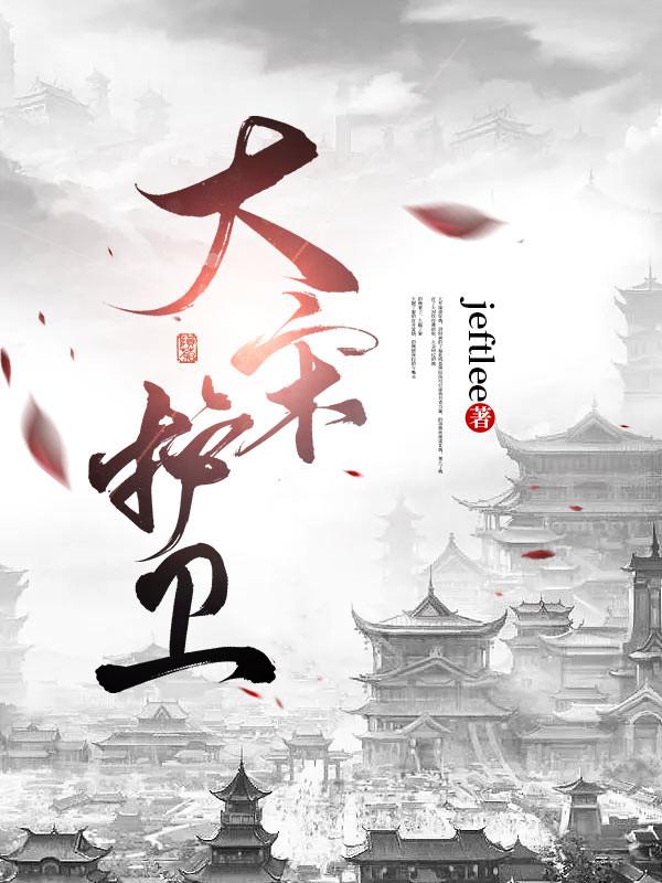 大宋护卫小说阅读