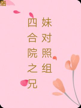 四合院之兄妹对照组小说阅读