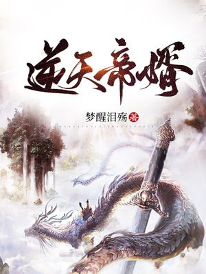 逆天帝婿.小说阅读