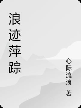 浪迹萍踪小说阅读