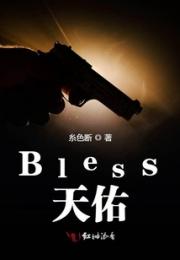 Bless天佑小说阅读