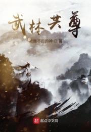 武林共尊小说阅读