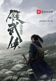 这可能是假武侠小说阅读