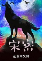 宋密小说阅读