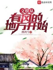 文娱从有风的地方开始小说阅读