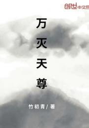 万灭天尊小说阅读