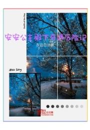 安安公主殿下奇遇历险记小说阅读