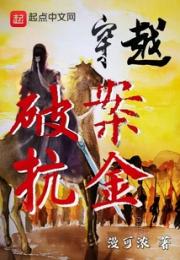 穿越破案抗金