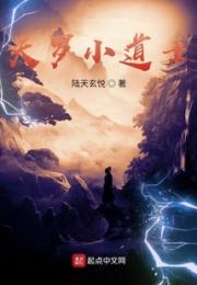 天罗小道士小说阅读