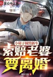 小舅子撞毁新车，索赔老婆要离婚小说阅读