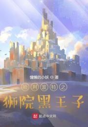 哈利波特之狮院黑王子小说阅读