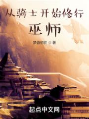 从骑士开始修行巫师小说阅读