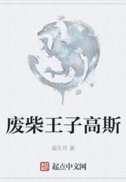 废柴王子高斯小说阅读