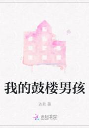 我的鼓楼男孩小说阅读