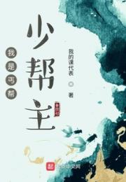 我是丐帮少帮主小说阅读