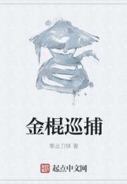 金棍巡捕小说阅读