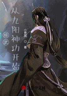 综武：从九阳神功开始小说阅读