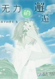无力的邂逅小说阅读