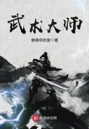 武术大师小说阅读