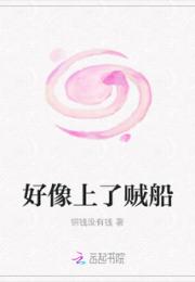 好像上了贼船小说阅读