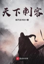 天下刺客小说阅读