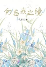 勿忘我之境小说阅读