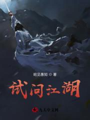 试问江湖小说阅读