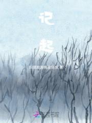 记起小说阅读