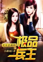 美女总裁的极品兵王小说阅读