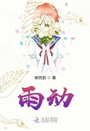 雨动小说阅读