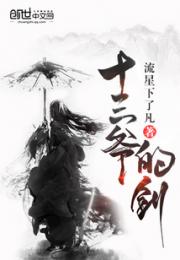 十三爷的剑小说阅读