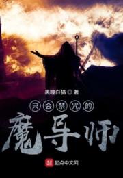 只会禁咒的魔导师小说阅读