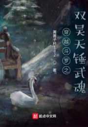 穿越斗罗之双昊天锤武魂小说阅读