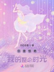 你曾惊艳我的整个时光小说阅读