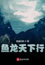 鱼龙天下行小说阅读