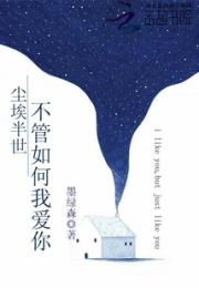 尘埃半世不管如何我爱你小说阅读