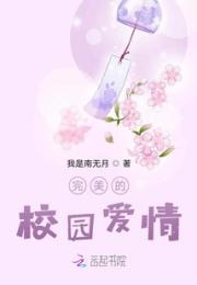 完美的校园爱情小说阅读