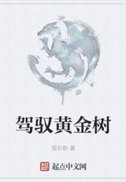 驾驭黄金树小说阅读
