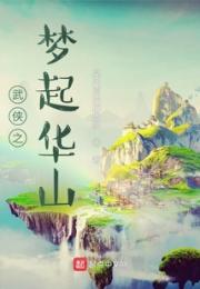 武侠之梦起华山小说阅读