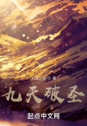 九天破圣小说阅读