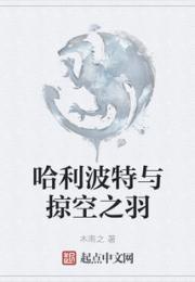 哈利波特与掠空之羽小说阅读