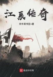 江辰传奇小说阅读