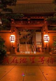我在地里等你小说阅读
