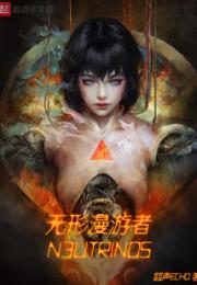 无形漫游者小说阅读