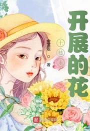 十枝未开展的花小说阅读