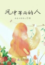 风中等雨的人小说阅读