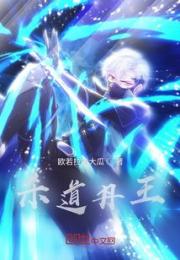 杀道丹王小说阅读