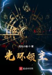 光环领主小说阅读